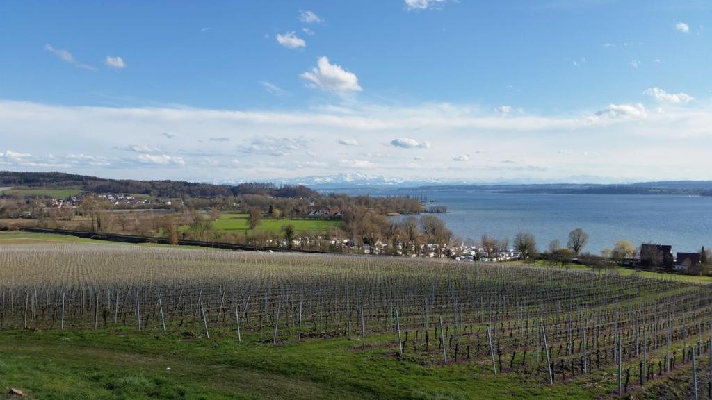 Ferienwohnung Treibgut Uhldingen-Mühlhofen Esterno foto
